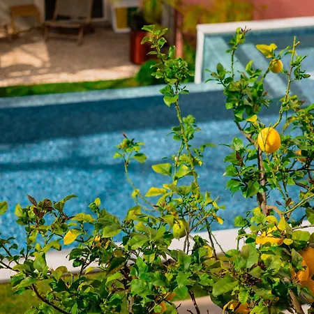 Jardim Da Lapa By Shiadu מלון 3*