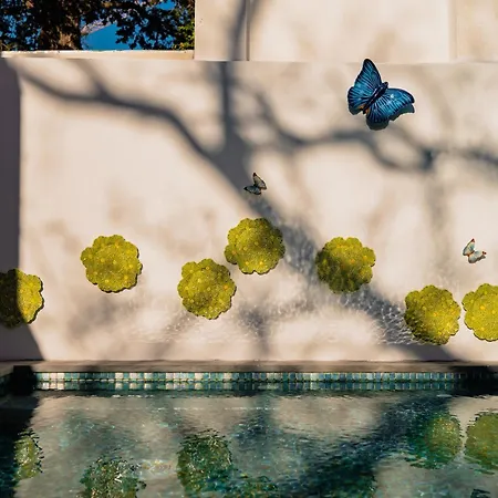 Jardim Da Lapa By Shiadu מלון 3*